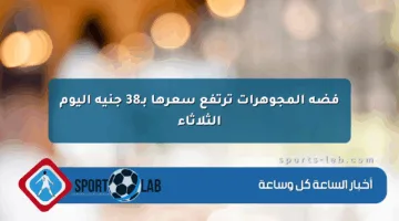 فضة المجوهرات ترتفع سعرها بـ38 جنيه اليوم الثلاثاء
